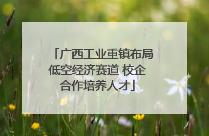 广西工业重镇布局低空经济赛道 校企合作培养人才