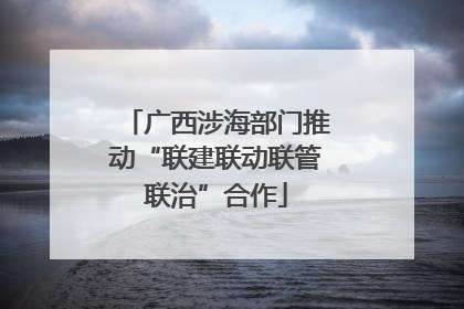广西涉海部门推动“联建联动联管联治”合作