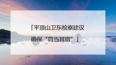 平顶山卫东检察建议确保“罚当其错”