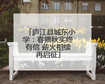 庐江县城东小学：春播秋实终有信 薪火相续再启征
