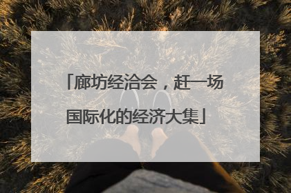 廊坊经洽会，赶一场国际化的经济大集