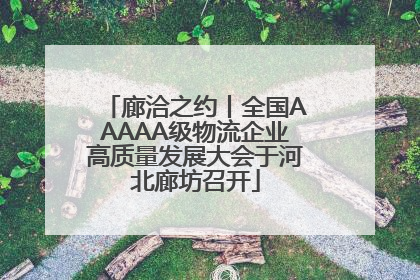 廊洽之约丨全国AAAAA级物流企业高质量发展大会于河北廊坊召开