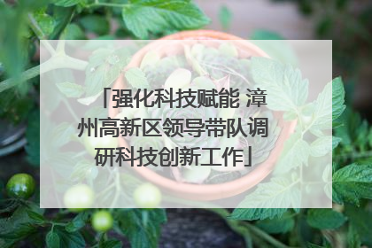 强化科技赋能 漳州高新区领导带队调研科技创新工作