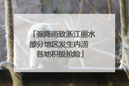 强降雨致浙江丽水部分地区发生内涝 各地积极抢险
