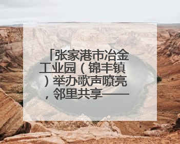 张家港市冶金工业园（锦丰镇）举办歌声嘹亮，邻里共享——退役军人音乐分享会