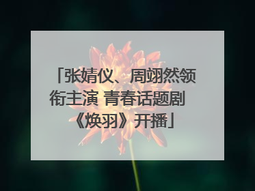 张婧仪、周翊然领衔主演 青春话题剧《焕羽》开播
