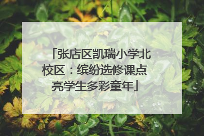 张店区凯瑞小学北校区：缤纷选修课点亮学生多彩童年