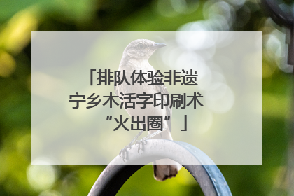 排队体验非遗 宁乡木活字印刷术“火出圈”