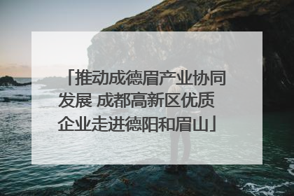 推动成德眉产业协同发展 成都高新区优质企业走进德阳和眉山