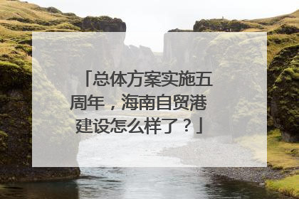 总体方案实施五周年，海南自贸港建设怎么样了？