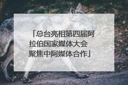 总台亮相第四届阿拉伯国家媒体大会 聚焦中阿媒体合作