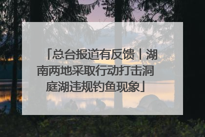 总台报道有反馈丨湖南两地采取行动打击洞庭湖违规钓鱼现象
