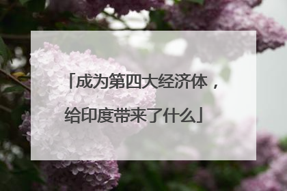 成为第四大经济体，给印度带来了什么