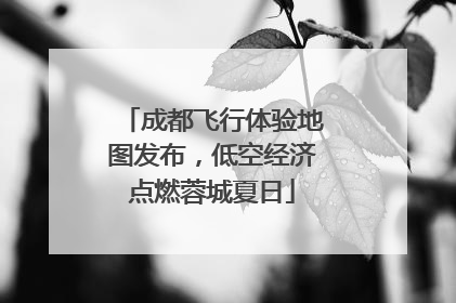 成都飞行体验地图发布，低空经济点燃蓉城夏日