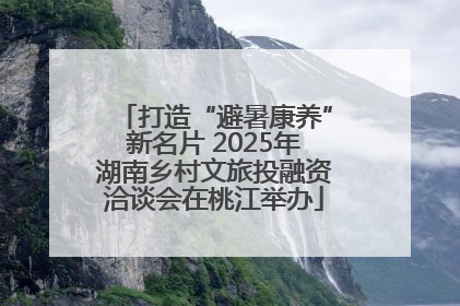 打造“避暑康养”新名片 2025年湖南乡村文旅投融资洽谈会在桃江举办