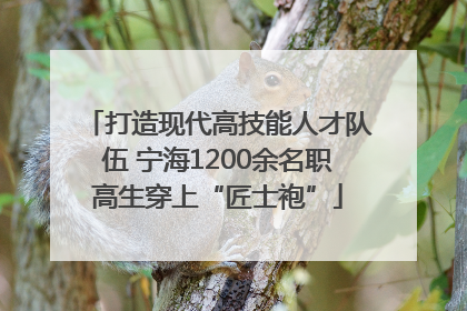 打造现代高技能人才队伍 宁海1200余名职高生穿上“匠士袍”