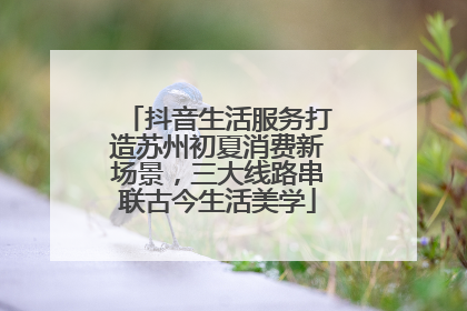 抖音生活服务打造苏州初夏消费新场景，三大线路串联古今生活美学
