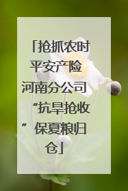 抢抓农时 平安产险河南分公司“抗旱抢收”保夏粮归仓