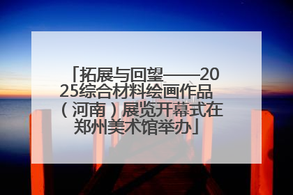 拓展与回望——2025综合材料绘画作品（河南）展览开幕式在郑州美术馆举办