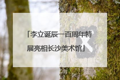 李立诞辰一百周年特展亮相长沙美术馆