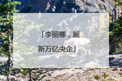 李丽娜，履新万亿央企