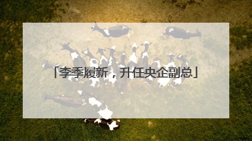 李季履新，升任央企副总