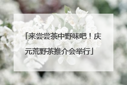 来尝尝茶中野味吧！庆元荒野茶推介会举行