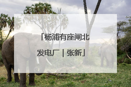 杨浦有座闸北发电厂｜张新