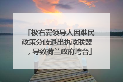 极右翼领导人因难民政策分歧退出执政联盟，导致荷兰政府垮台