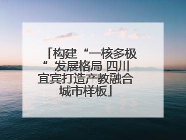构建“一核多极”发展格局 四川宜宾打造产教融合城市样板
