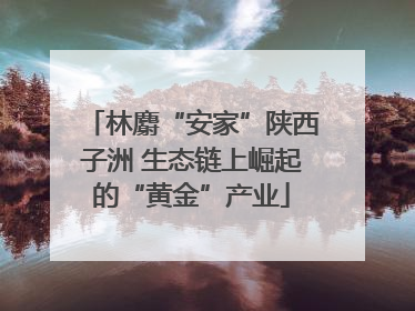 林麝“安家”陕西子洲 生态链上崛起的“黄金”产业
