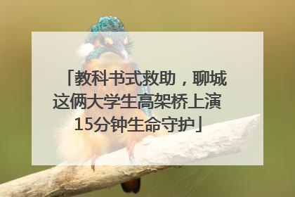 教科书式救助，聊城这俩大学生高架桥上演15分钟生命守护