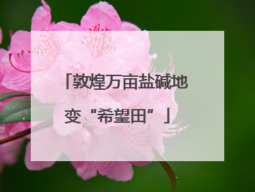 敦煌万亩盐碱地变“希望田”