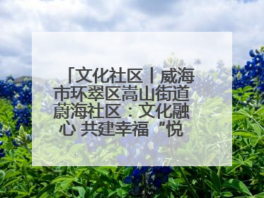 文化社区丨威海市环翠区嵩山街道蔚海社区：文化融心 共建幸福“悦龄蔚海”