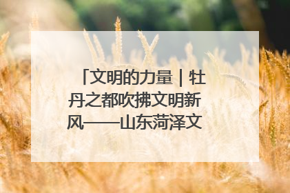 文明的力量｜牡丹之都吹拂文明新风——山东菏泽文明创建一线见闻
