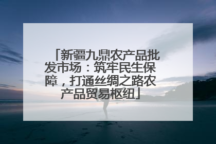 新疆九鼎农产品批发市场：筑牢民生保障，打通丝绸之路农产品贸易枢纽