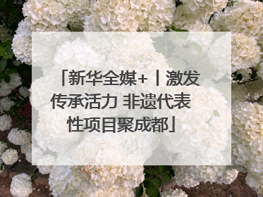新华全媒+丨激发传承活力 非遗代表性项目聚成都