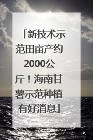 新技术示范田亩产约2000公斤！海南甘薯示范种植有好消息