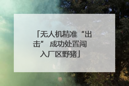 无人机精准“出击” 成功处置闯入厂区野猪