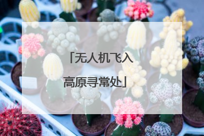 无人机飞入高原寻常处