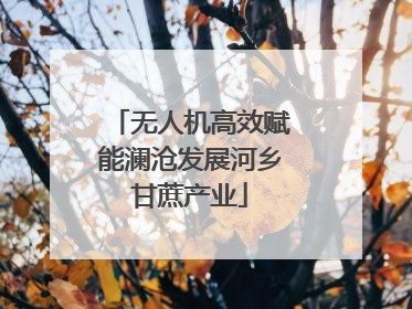 无人机高效赋能澜沧发展河乡甘蔗产业