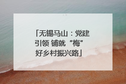 无锡马山：党建引领 铺就“梅”好乡村振兴路
