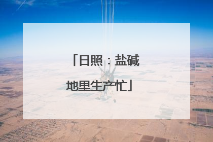 日照：盐碱地里生产忙