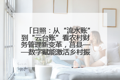 日照：从“流水账”到“云台账”看农村财务管理新变革，莒县——数字赋能激活乡村振兴“一池春水”