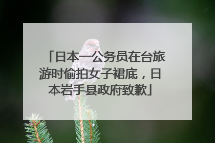 日本一公务员在台旅游时偷拍女子裙底，日本岩手县政府致歉