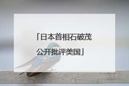 日本首相石破茂公开批评美国