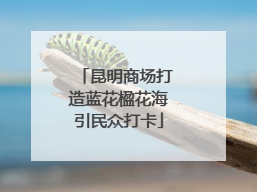 昆明商场打造蓝花楹花海引民众打卡