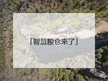 智慧粮仓来了