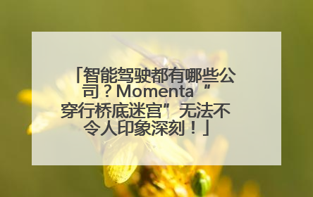 智能驾驶都有哪些公司？Momenta“穿行桥底迷宫”无法不令人印象深刻！