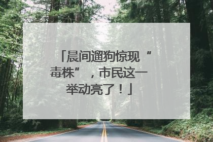 晨间遛狗惊现“毒株”，市民这一举动亮了！
